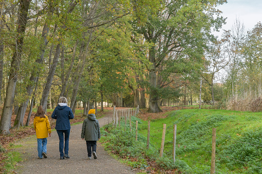 Family walk in the autumn park. Mother, girl, boy Forest area, path, autumn trees.