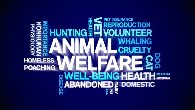 Animal Welfare animated word cloud,animation kinetic typography seamless loop.