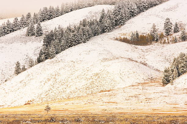 istock Rocky Mountain Valley Wilderness Fog Snow 171105612