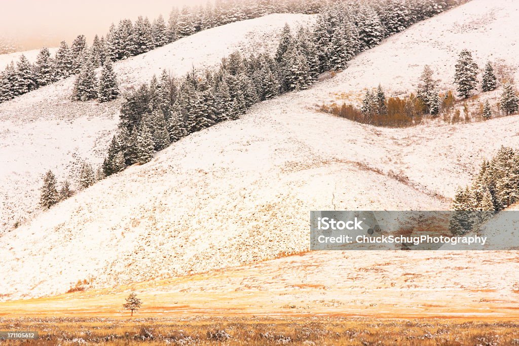 Rocky Mountain нижние склоны холмов туман снег - Стоковые фото High Country роялти-фри