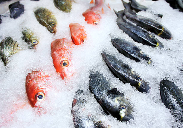 Fish on ice stock photo