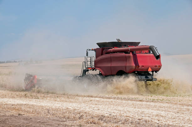 istock Combine harvesting wheat in eastern Washington 171106763