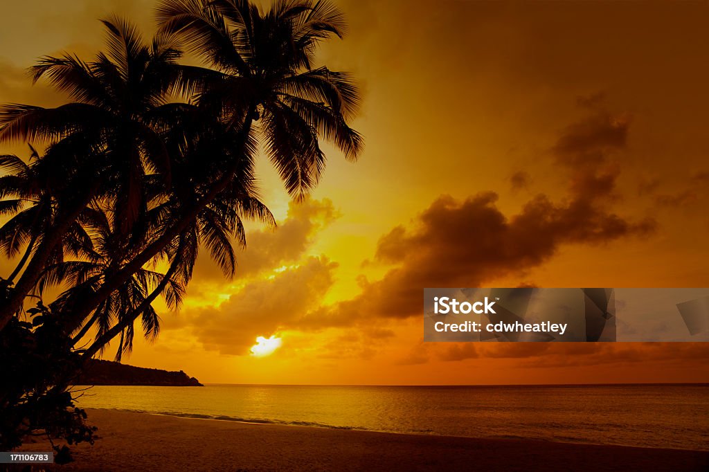 Tramonto alla spiaggia tropicale a Caraibi - Foto stock royalty-free di Tramonto