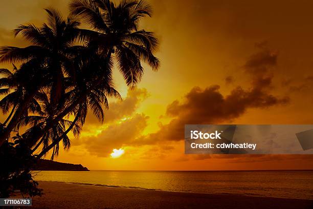 Tramonto Alla Spiaggia Tropicale A Caraibi - Fotografie stock e altre immagini di Tramonto - Tramonto, Spiaggia, Dorato - Colore descrittivo