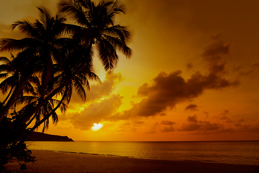 sunset at a tropical beach in the Caribbean