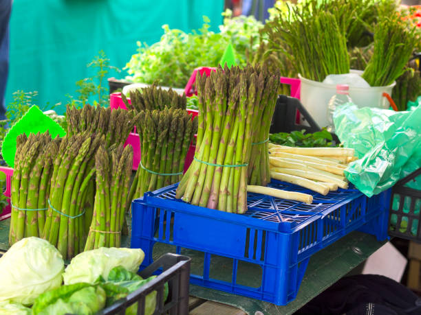 Asparagus