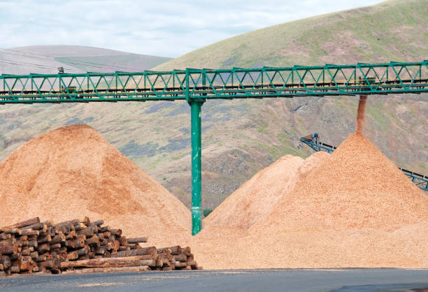 istock Wood chip piles and raw timber at sawmill 171107315