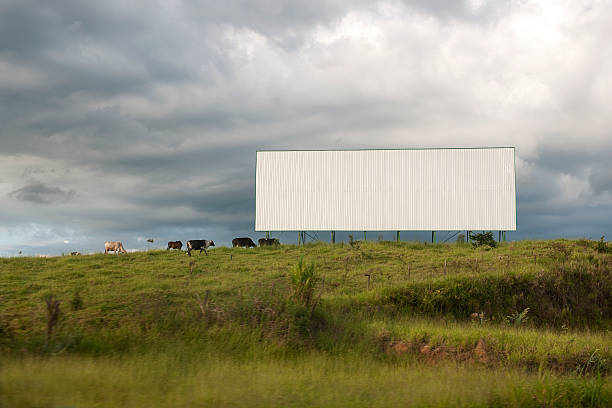 A blank white billboard in the middle of a field