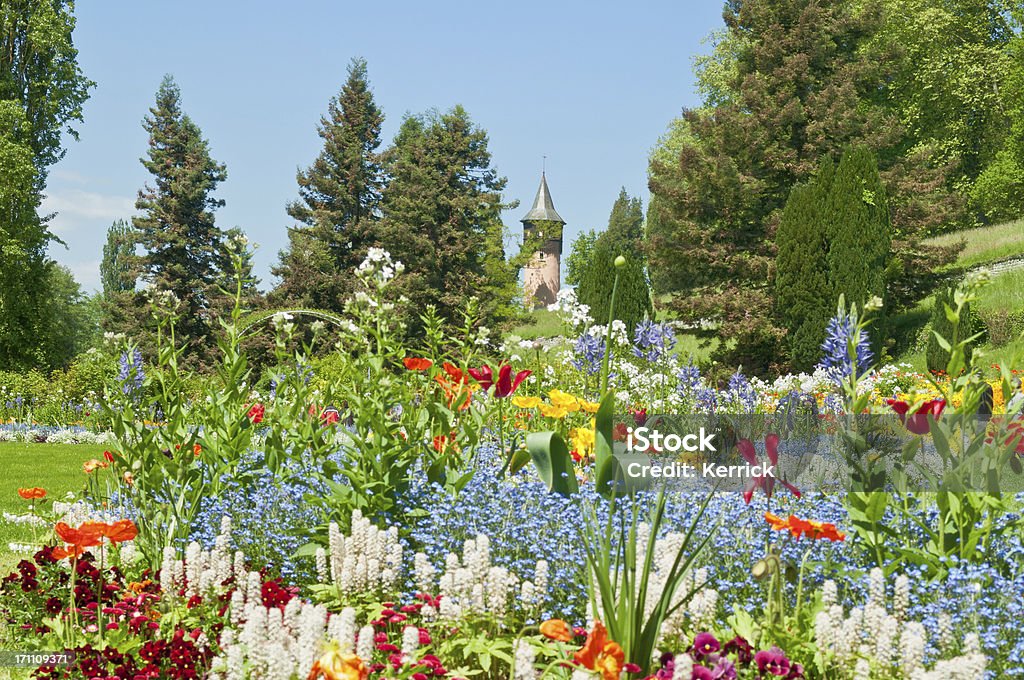 Frühling Blumen auf der Insel Mainau Deutschland - Lizenzfrei Insel Mainau Stock-Foto