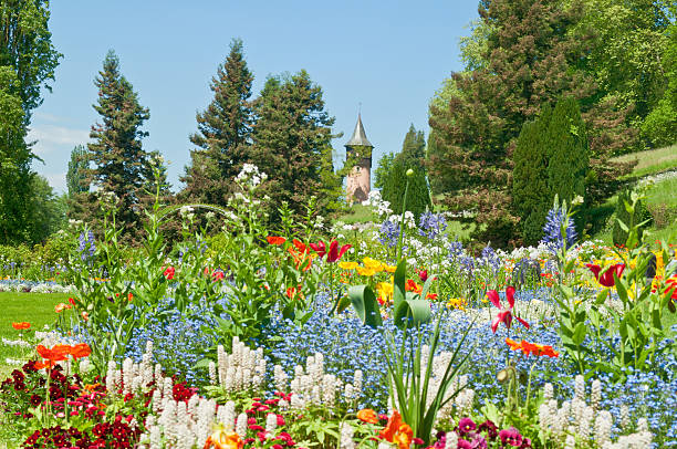 flower garden in Japan