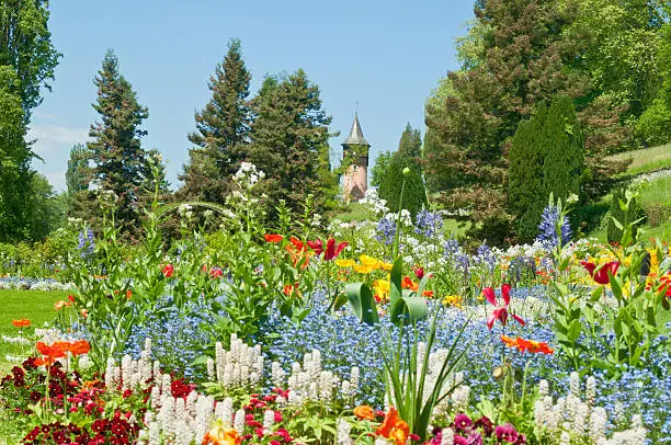 Spring flowers at island Mainau. At Lake Constance/ Bodensee in Germany. At the island blooming a lot of different flowers around the year. A lot of tourists walking each day around the island - a tourist attraction of Baden Wurttemberg.