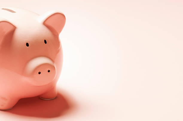 istock Pink ceramic piggy bank with copy space on pink background 171109936