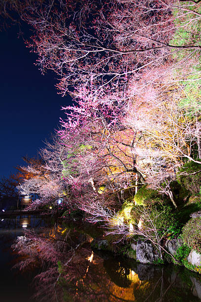 istock Kyoto city spring lightscape at night 171110015