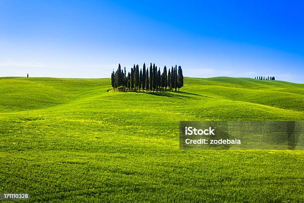Zielone Wzgórza Krajobraz W Toskania Z Cypress Drzewa - zdjęcia stockowe i więcej obrazów Bez ludzi