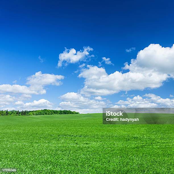 Cuadrado Paisaje De Primavera Xxxxl 31 Mpixmeadow Cielo Azul Foto de stock y más banco de imágenes de Agricultura