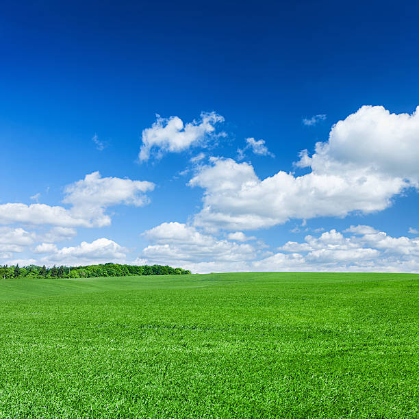 istock Square spring landscape XXXXL 31 MPix - meadow, blue sky 171110365