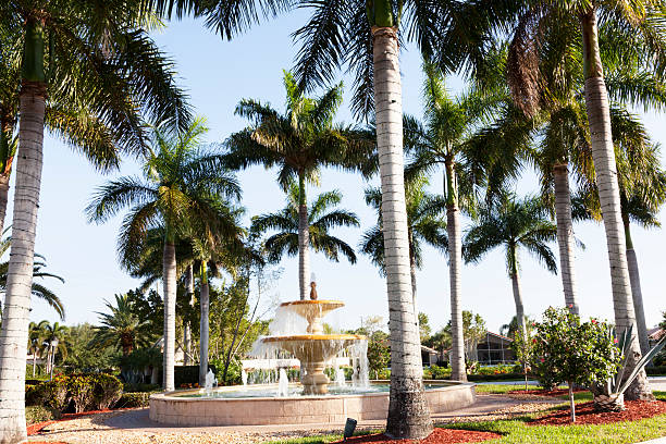 istock fountain and palm trees in Florida 171110487