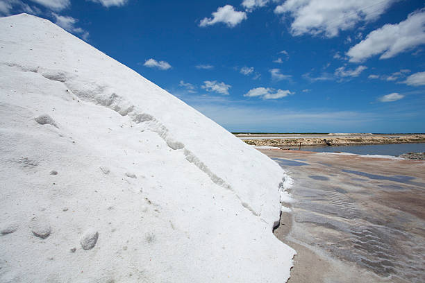 Salt Production at Brazil's Northeast region