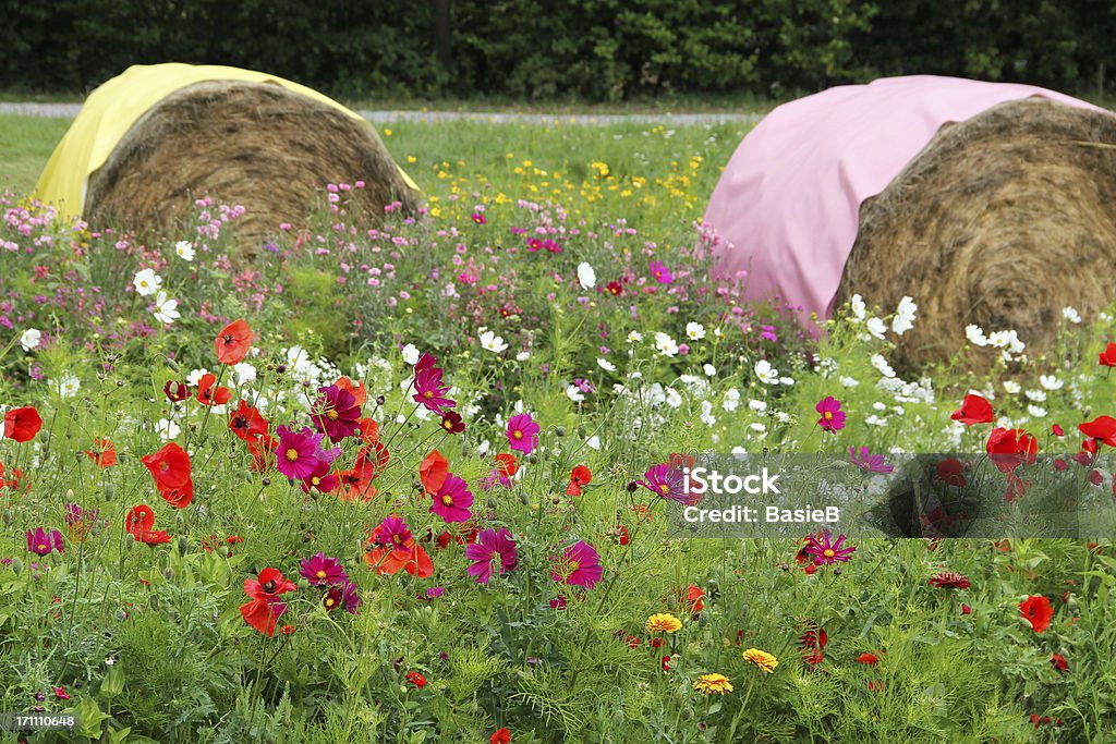花の牧草地 - 干草ロールのロイヤリティフリーストックフォト