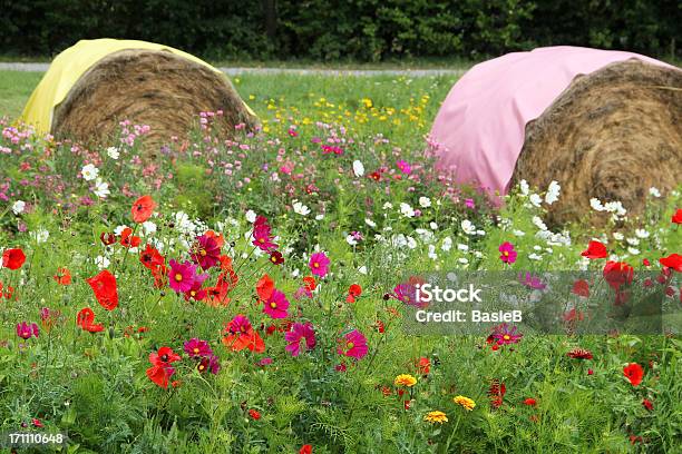 花の牧草地 - 干草ロールのストックフォトや画像を多数ご用意 - 干草ロール, 野生の花, ガーデンコスモス