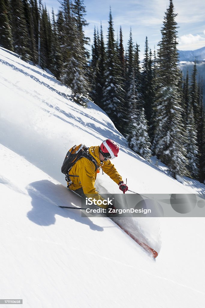 Порошок на лыжах - Стоковые фото Британская Колумбия роялти-фри