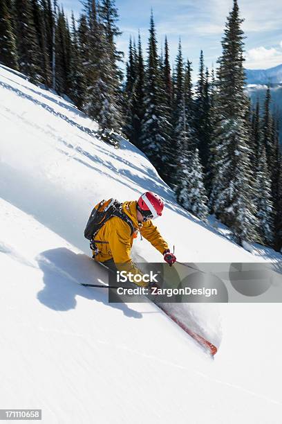 Порошок На Лыжах — стоковые фотографии и другие картинки Британская Колумбия - Британская Колумбия, Вертикальный, Головной убор