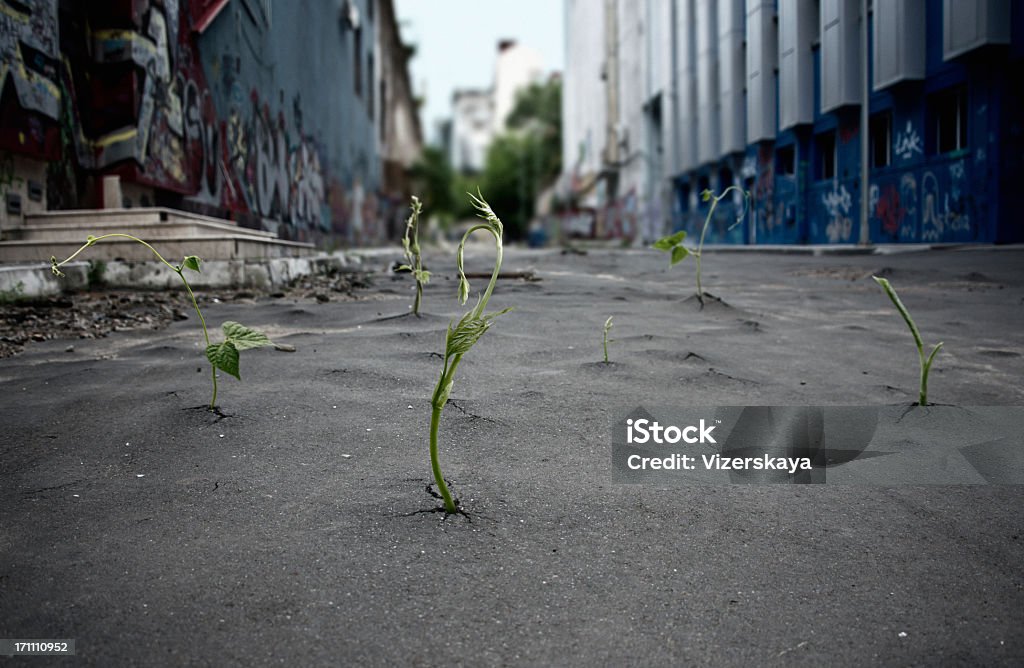 Puissance de la Nature - Photo de Macadam libre de droits