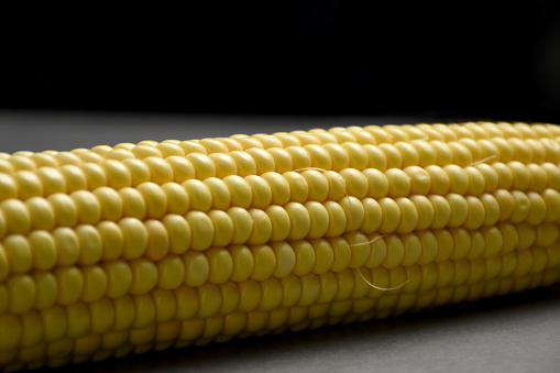 Close-up of fresh sweet corn with copy space