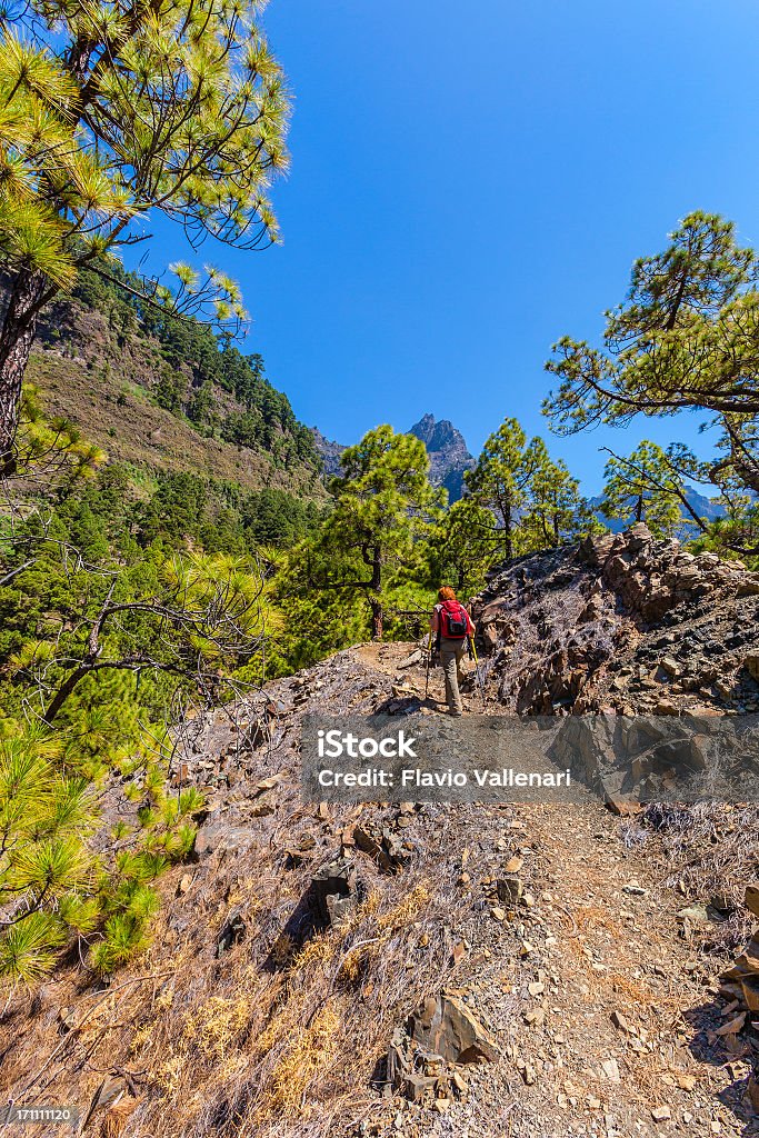 Nationalpark Caldera de Taburiente, La Palma - Lizenzfrei Abenteuer Stock-Foto