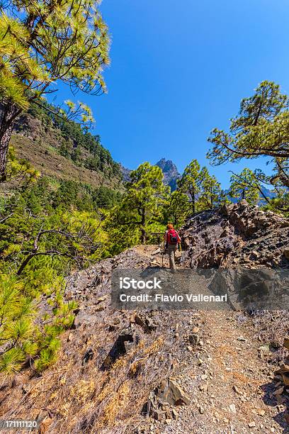 Caldera De Taburiente Parque Nacional De La Palma Foto de stock y más banco de imágenes de Actividades recreativas - Actividades recreativas, Adulto, Aire libre