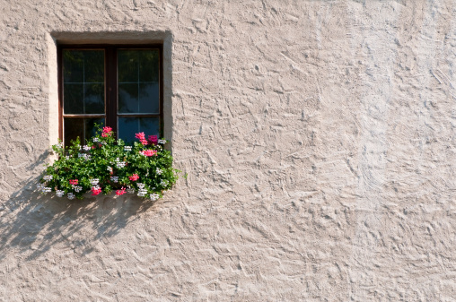 Potted plants outside a window in summer time; copy space on wall.