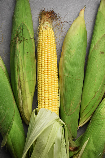 Fresh sweet corns, corn cobs and a peeled corn