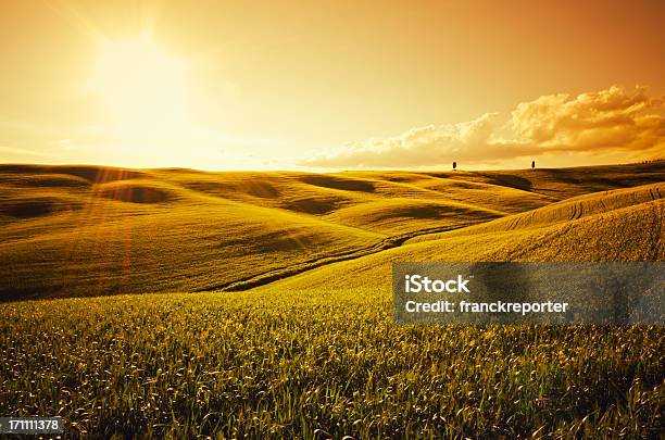 Солнечный Свет На Тоскана Укороченный Пейзаж В Сумерках — стоковые фотографии и другие картинки Пшеница