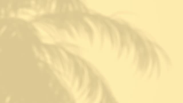 Shadow of moving palm leaves on yellow background, loopable animation