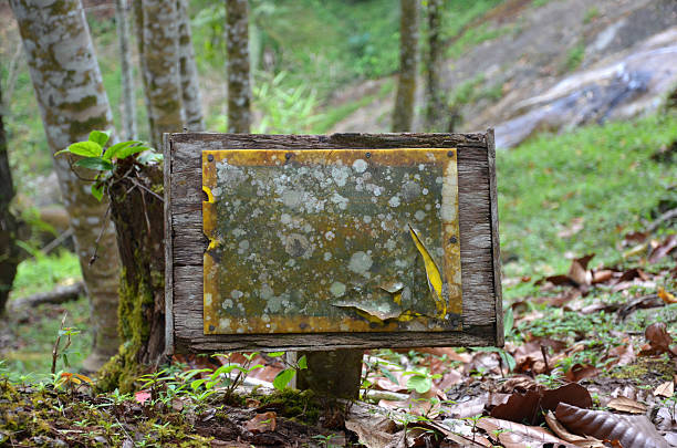 Rusty old plate in the wood stock photo