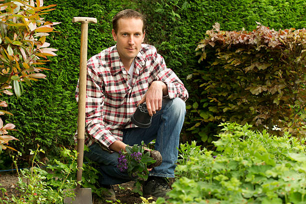 istock Gardening, working in the garden 171111978