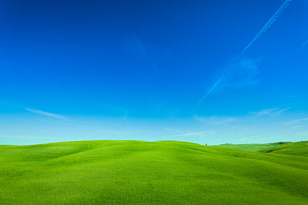 istock Rolling Hills Landscape in Tuscany, Val d'Orcia, Italy 171112164