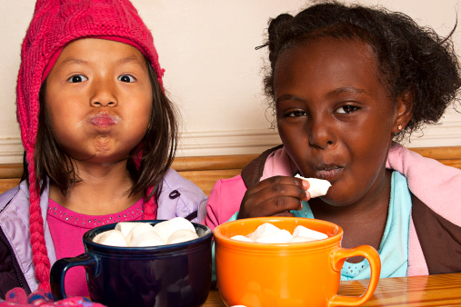 Diverse friends enjoying marshmallows and hot chocolate