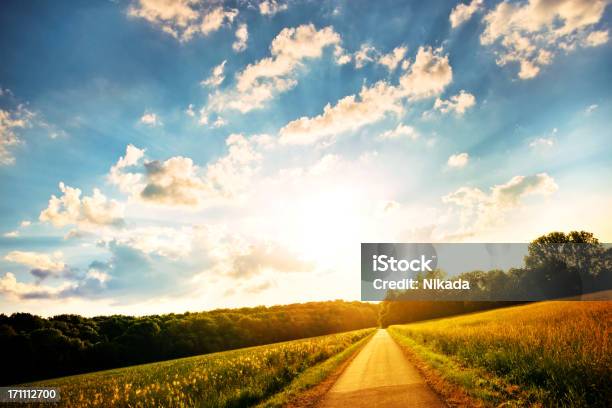 Green Field On A Sunny Day Stock Photo - Download Image Now - Landscape - Scenery, Nature, Sunset