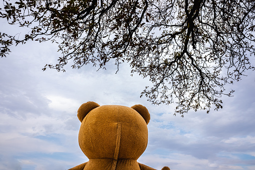 Strange Conceptual image of the head of a teddy bear contemplating the cloudy sky.