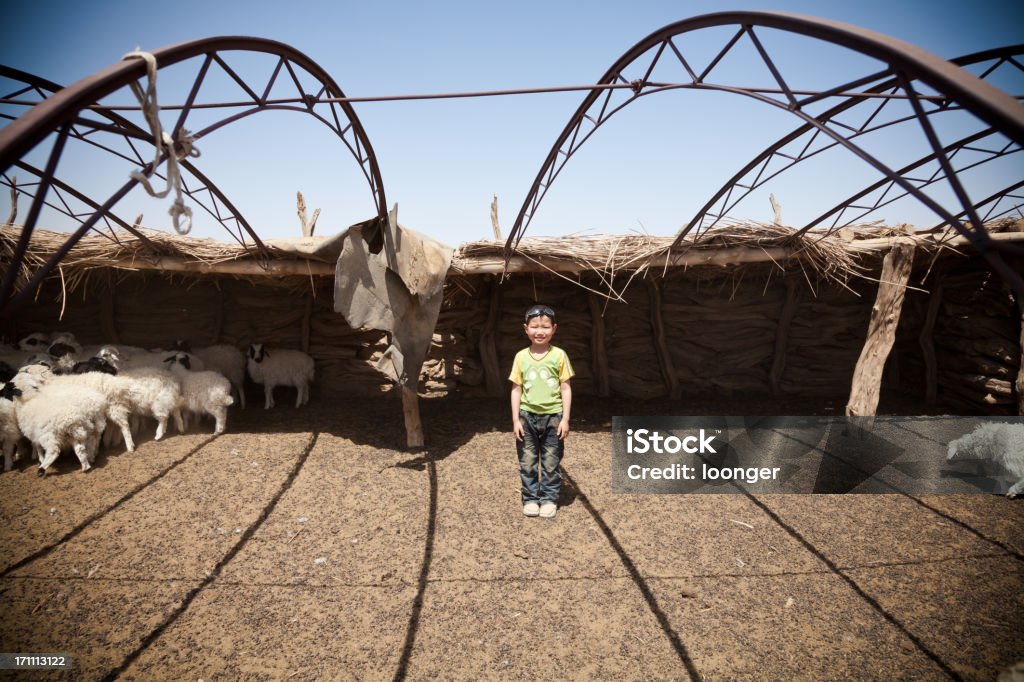 Pouco menino da Mongólia no Cercado de Carneiros - Foto de stock de 6-7 Anos royalty-free