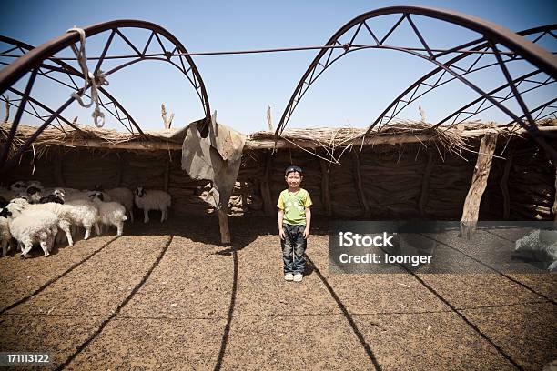 Foto de Pouco Menino Da Mongólia No Cercado De Carneiros e mais fotos de stock de 6-7 Anos - 6-7 Anos, Agricultura, Animal