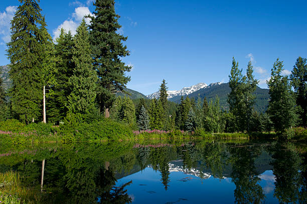 istock Beauty in Nature 171113624