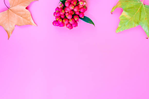 Background for Autumn with berries and leaves