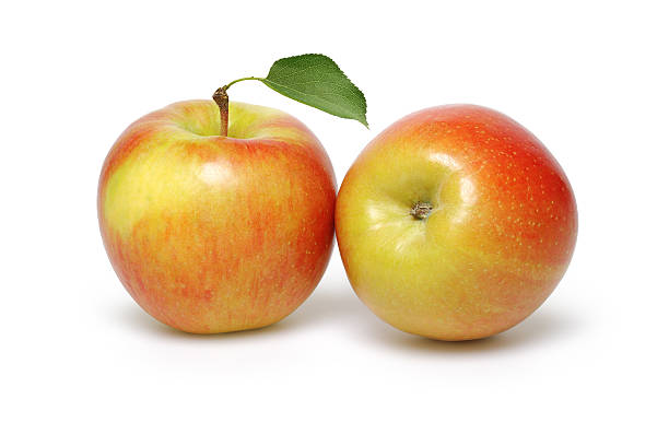 Two Apple stock photo