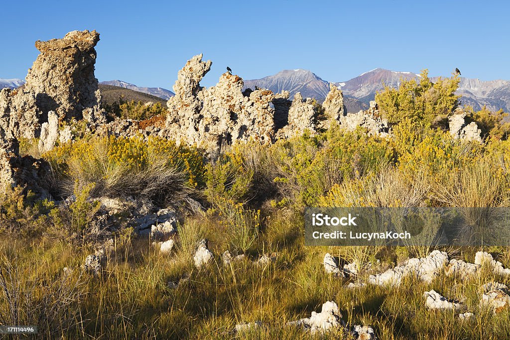 Lago Mono paesaggio - Foto stock royalty-free di Ambientazione esterna