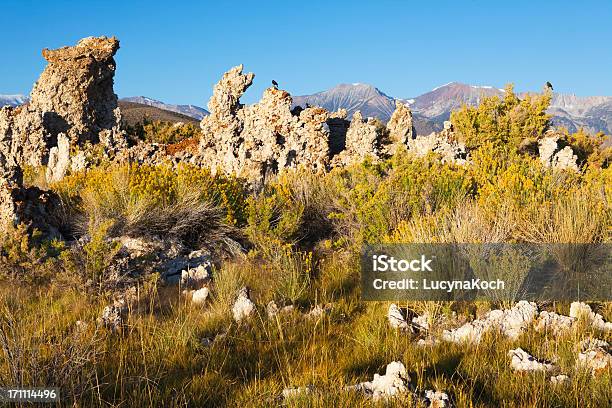 Mono Jezioro Krajobraz - zdjęcia stockowe i więcej obrazów Bez ludzi - Bez ludzi, Bezchmurne niebo, Fotografika