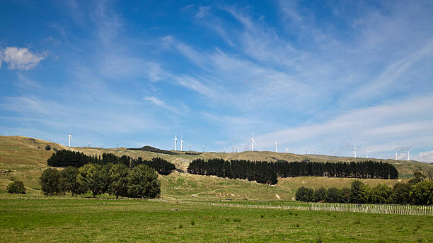 New Zealand wind farm The Te Apiti wind farm in Palmerston North New Zealand Palmerston North stock pictures, royalty-free photos & images