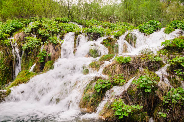 istock Waterfalls at Plitvice Lakes National Park, Croatia 171114689
