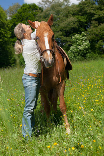 istock metaphor - horse whisperer 171114724